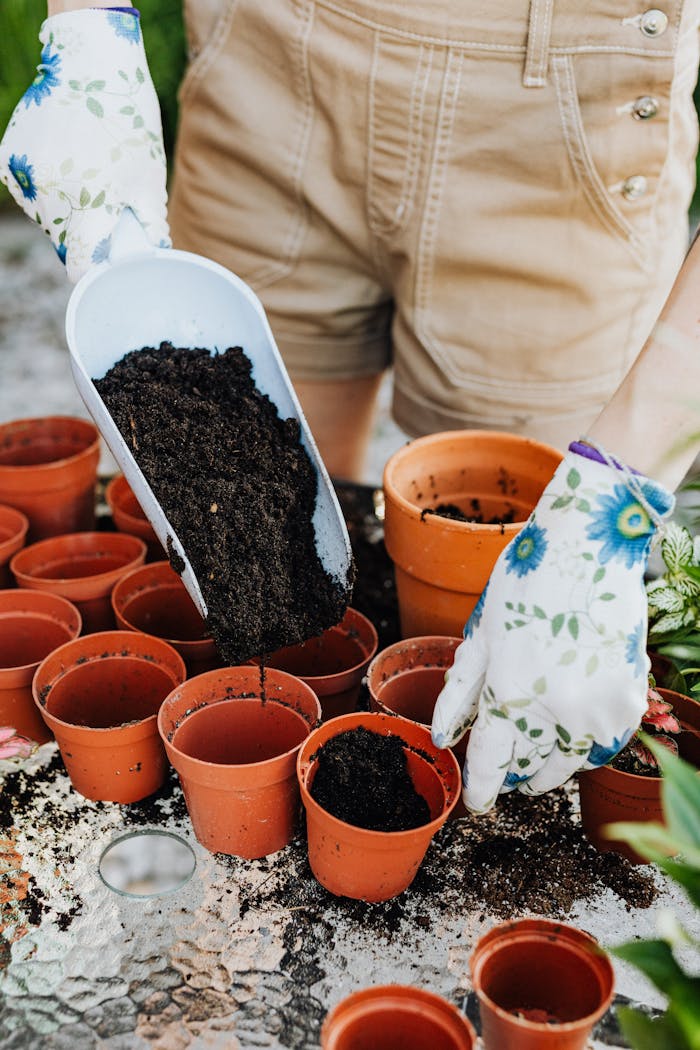 Close-up of soil being placed in clay pots with floral gloves, ideal for gardening themes.