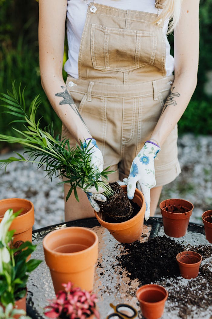 A woman planting seedlings in terracotta pots during a sunny garden day.