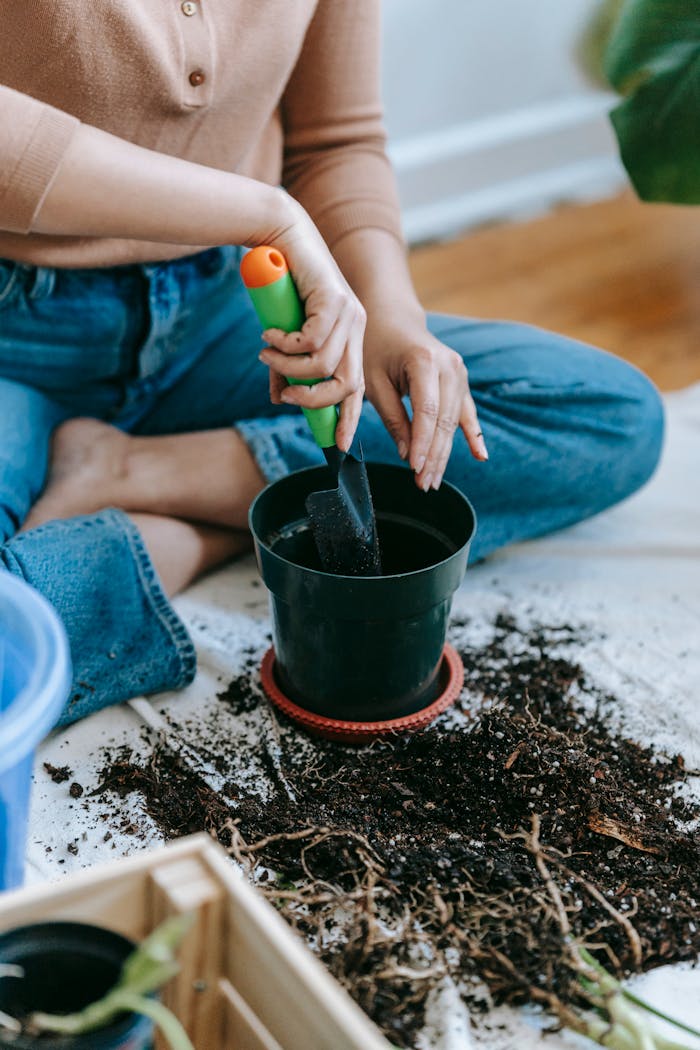 High angle of crop anonymous female gardener sitting on floor and planting sapling in pot