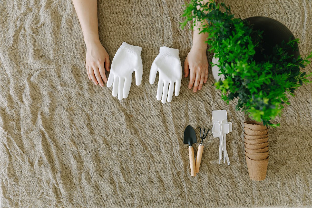Top view of gardening tools with white gloves and hands ready to plant.